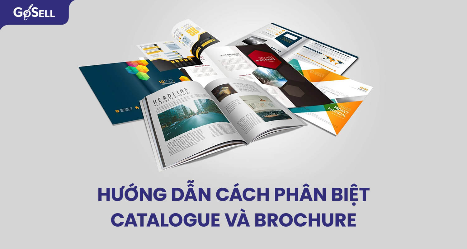 Hướng dẫn cách phân biệt catalogue và brochure