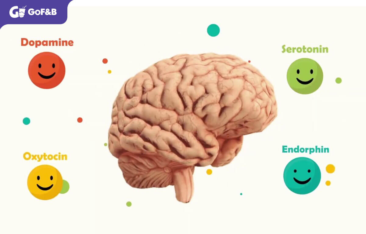 Phân tích tác động của ASMR đến thần kinh của con người