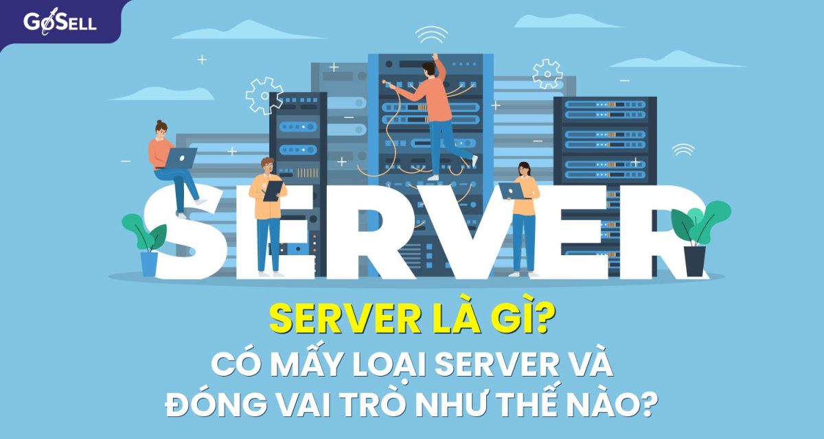 server-la-gi_1